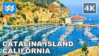 Walking Tour of Catalina Islands Avalon Town amp Harbor in California USA 🎧 Tips amp Travel Guide【4K】 [upl. by Mervin]