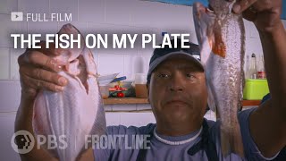 The Fish on My Plate full documentary  FRONTLINE [upl. by Assirrem354]