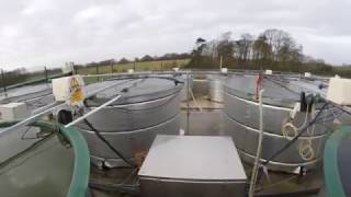 UKCEHs Aquatic Mesocosm Facility for experimental science [upl. by Ferreby439]