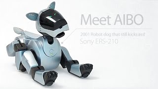 AIBO Retro robot dog that still kicks ass  Sony ERS210 [upl. by Bascio]