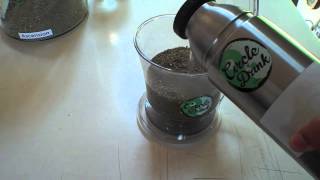 Preparing Yerba Mate in Tea Infuser [upl. by Engeddi301]