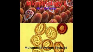 Microbiology ii  Parasitology  Lecture No 3 Malarial parasite Cycle [upl. by Manfred]