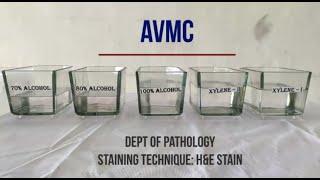 Hematoxylin amp Eosin Staining Procedure Principle with Video Lecture [upl. by Josselyn]