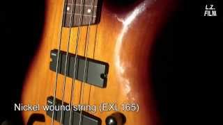 Roundwound vs Flatwound Fretless Bass [upl. by Lejna]