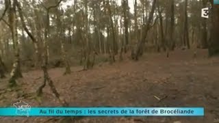 Reportage région  direction la forêt de Brocéliande [upl. by Iny]