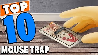 Top 10 Best Mouse Traps Review in 2024 [upl. by Bromley]