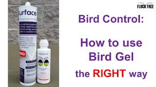 How to use Bird Gel the right way in Bird Control [upl. by Tnomal]