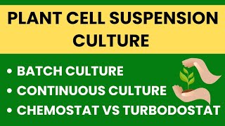 What is plant cell suspension culture  Batch amp Continuous culture  Chemostat vs Turbodostat [upl. by Kraska]