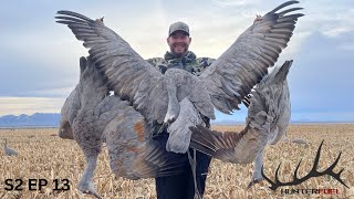 ARIZONA SANDHILL CRANE HUNT 2022 [upl. by Ahsilet]