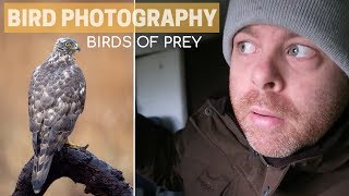 BIRD PHOTOGRAPHY  back to photograph birds of prey [upl. by Llerref]