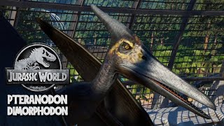 Pteranodon amp Dimorphodon Breakout Jurassic World Evolution Mods 4K 60FPS [upl. by Novoj]