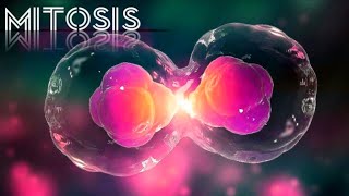 Mitosis phases of mitosis importance of mitosis Simplified  animation [upl. by Catherina]