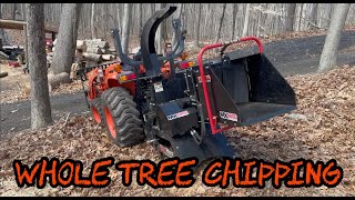 355 Whole Tree Chipping with the WoodMaxx MX8800 PTO Wood Chipper [upl. by Essilem]