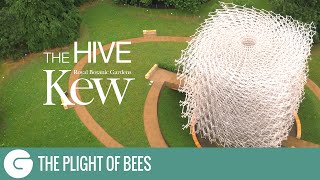 Kew Gardens  The Hive [upl. by Eirallam]