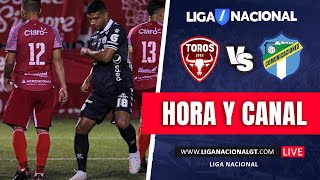 🔴 EN VIVO Malacateco vs Comunicaciones  Jornada 10  Apertura 2024 [upl. by Anaila]