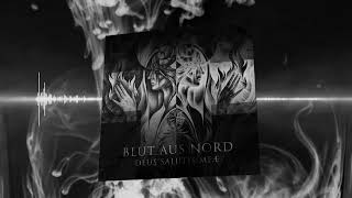 BLUT AUS NORD  Revelatio [upl. by Ayekan804]