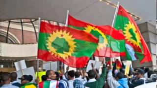 Oromo Music  Usmayyoo Mussaa  Dukkana Bara Dheerraa [upl. by Annayek]