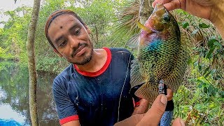 Pesca en la Selva Con Cuerda y Lombriz Mojarras y Sábalo [upl. by Clark432]