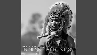 Musique amérindienne [upl. by Merat]