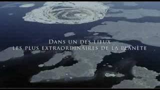 Les Ailes Pourpres  Bandeannonce I Disney [upl. by Eilraep809]