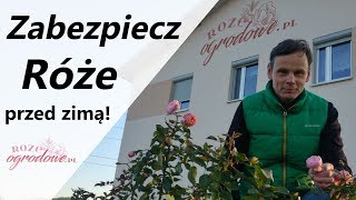 Jak zabezpieczyć róże w ogrodzie przed zimą [upl. by Joby]