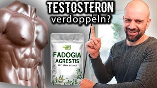 Testosteron VERDOPPELN durch Fadogia agrestis  hat Andrew Huberman recht  Dr Malte Puchert [upl. by Tita]