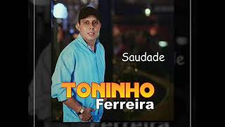 Toninho Ferreira  Saudades CD COMPLETO [upl. by Nahn]