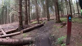 Gravel biking on the blue MTB trail in Store Dyrehave [upl. by Katerina]