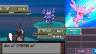 Where to CaptureCatch Gligar In Pokemon Platinum Diamond Pearl [upl. by Lanrev186]