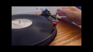 Trefethen  Am I Stupid Or Am I Great Vinyl  Sota Sapphire Turntable [upl. by Eseneg]