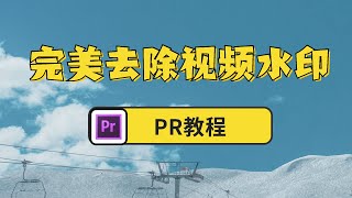 【PR教程】完美去除视频水印 [upl. by Shimkus250]