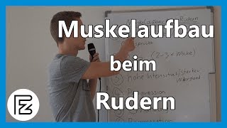 MUSKELAUFBAU durch RUDERN  Muskelaufbau zuhause [upl. by Sigismundo]