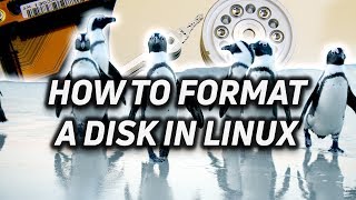 How to Partition and Format a Disk in Linux [upl. by Acnoib]