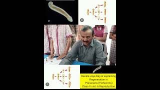 Banala Jaya Raj sir explaining Regeneration in planarians Flatworms class X unit 6 Reproduction [upl. by Haleak]