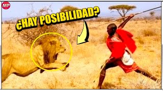 ¿Puede un Humano Derrotar a un León en una PELEA  Humano vs León ¿Quién Gana [upl. by Manon]