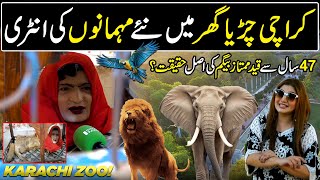 Explore Karachis Oldest Zoo  The Mystery of Mumtaz Begum  Hello Karachi  Discover Pakistan [upl. by Frisse]