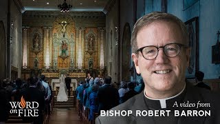 Bishop Barron on the Sacrament of Marriage [upl. by Enilhtak]