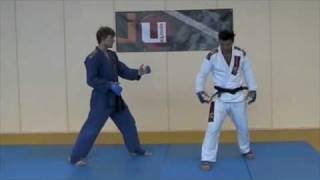 Lesson 1 Basic Position Atemi Fighting  JiuJitsu Fighting Lesson JJIF Basics Part 1 [upl. by Olrak]