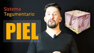 Generalidades de la Piel  Estructura y funciones [upl. by Thibault]