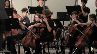 String Orchestra  Edward R Murrow High School [upl. by Dysart]