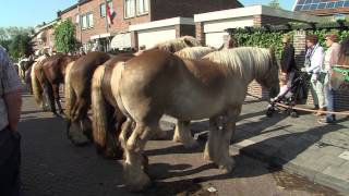 Paardenmarkt Rijnsburg 2015  RTV Katwijk [upl. by Namajneb372]