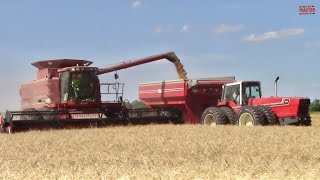 HARVESTING Wheat amp Straw [upl. by Wey]