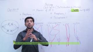 Introduction to Meiosis  Biology Chapter 5 Cell Cycle  9th Class [upl. by Rekcut]