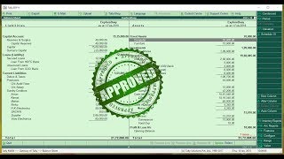 Detailed Balance Sheet TDL for Tally ERP9 [upl. by Zina]