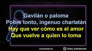 José José  Gavilan O Paloma Versión Karaoke [upl. by Rustice]