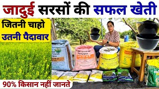 जादुई सरसों की खेती से तूफानी पैदावार  sarso ki kheti  sarso top variety  npk khad  dap ssp mop [upl. by Idnarb276]