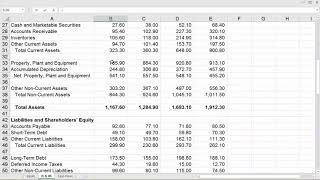 Financial Ratios in Excel [upl. by Llyrpa]