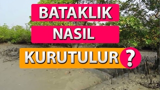 BATAKLIK NASIL KURUTULUR [upl. by Amaris]