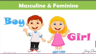 Gender for kids  MaleFemale  Gender [upl. by Christian]