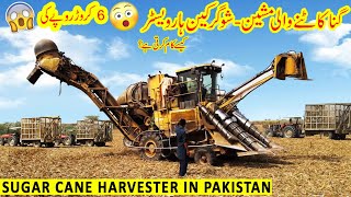 Sugarcane Harvester in Pakistan  Cameco Sugarcane Harvester Review [upl. by Siraf]